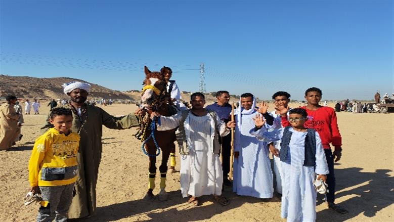 محافظة أسوان 