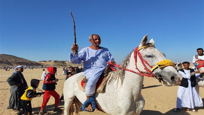 محافظة أسوان 