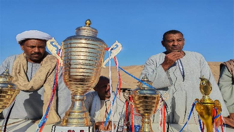 محافظة أسوان 