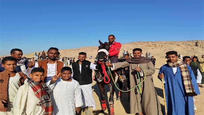 محافظة أسوان 