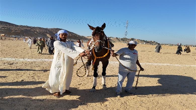 محافظة أسوان 