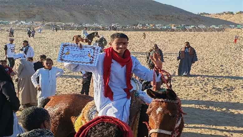 محافظة أسوان 