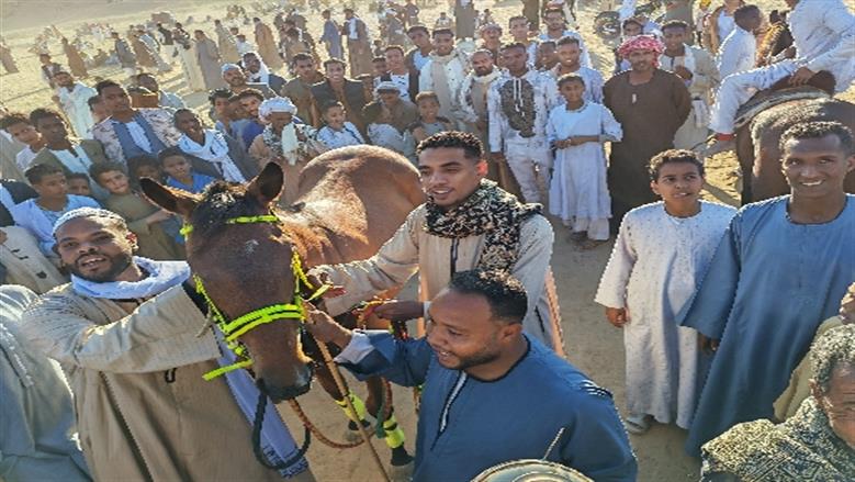 محافظة أسوان 
