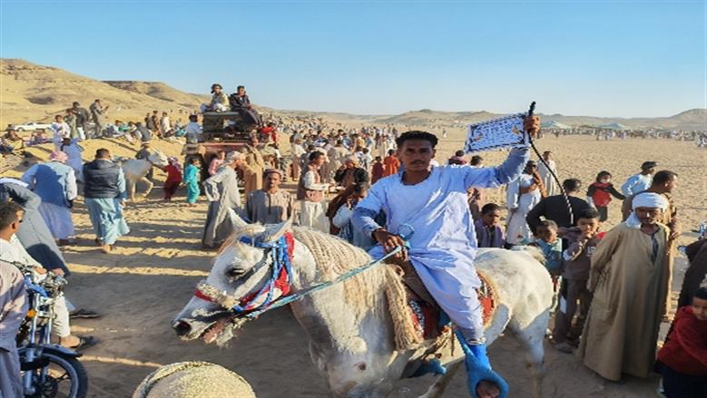 محافظة أسوان 