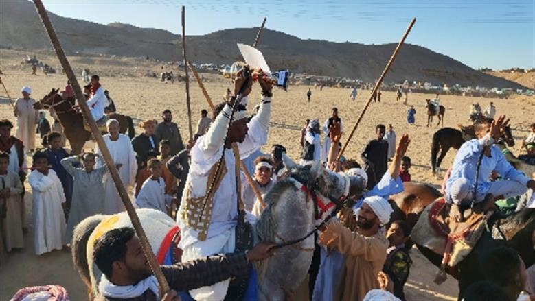 محافظة أسوان 