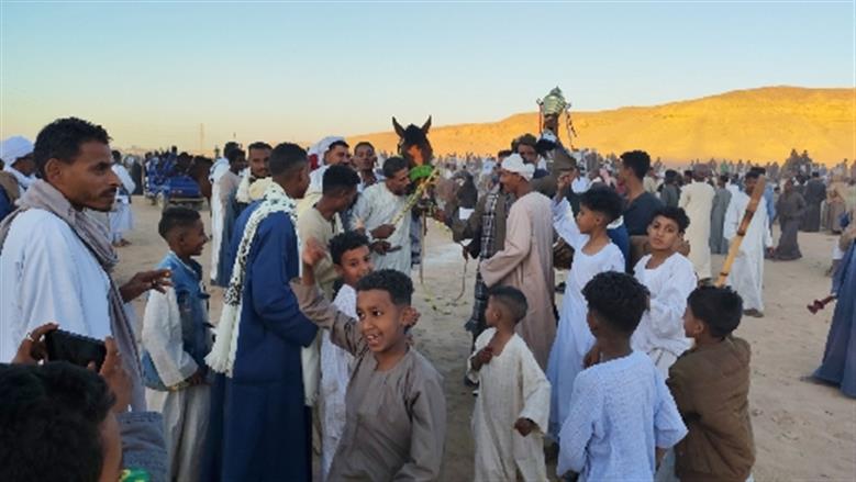 محافظة أسوان 