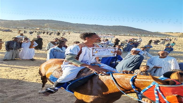 محافظة أسوان 