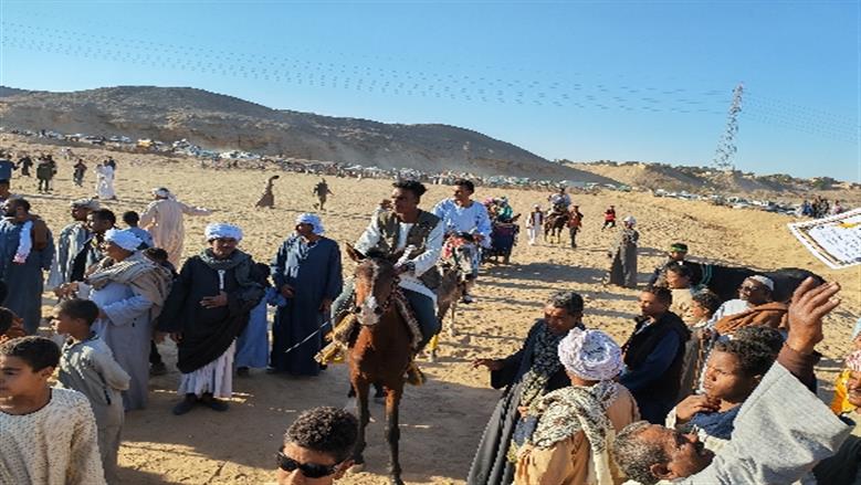 محافظة أسوان 