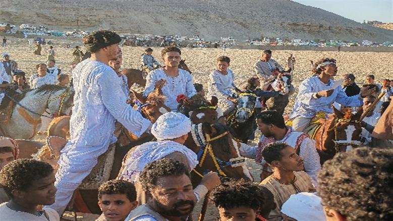 محافظة أسوان 