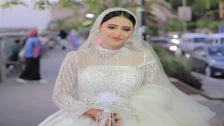 المنوفية
