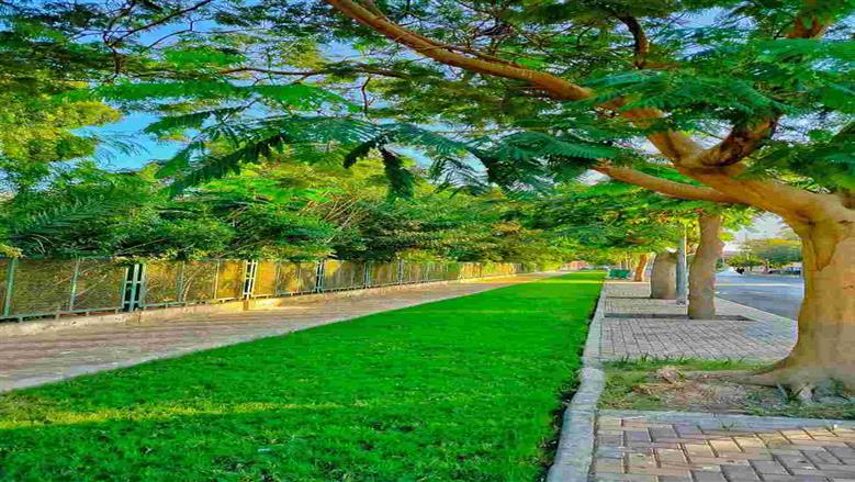 أفضل أماكن الخروجات الشتوية في السويس.. متعة مجانية على الكورنيش وبورتوفيق