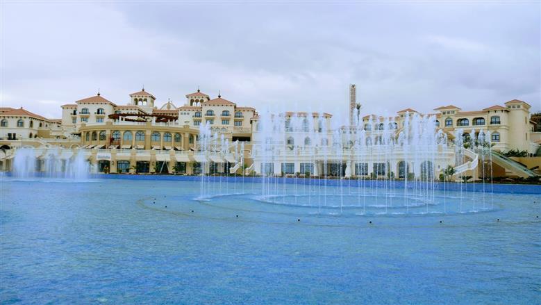 صورة