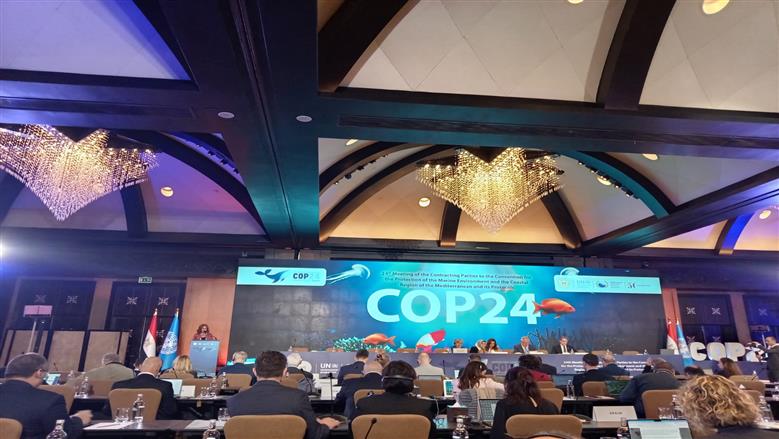 منسقة برنامج الأمم المتحدة للبيئة: قرارات «COP24» تسعى للوصول إلى سواحل أكثر نظافة