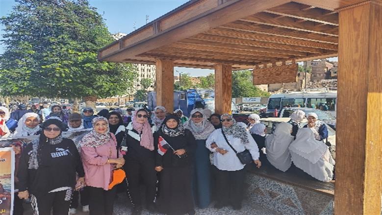 محافظة أسوان 