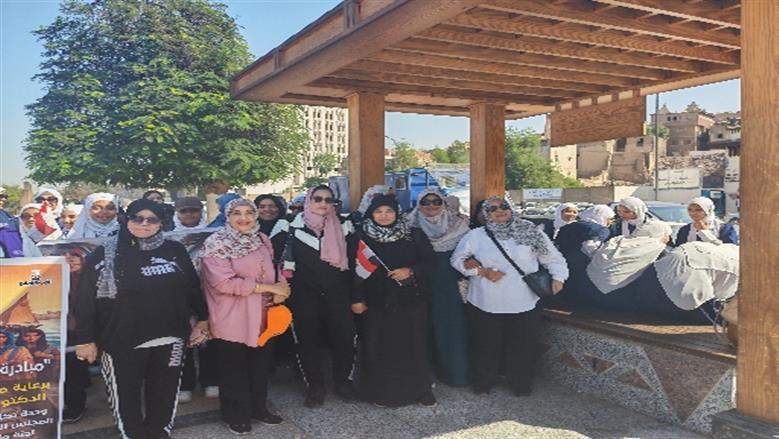 محافظة أسوان 