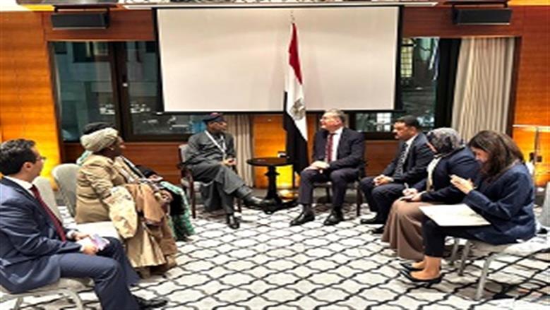 وزير البترول يبحث الشراكة وتبادل الخبرات مع نيجيريا في قطاع التعدين