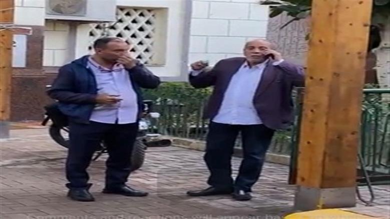 سمية الألفي