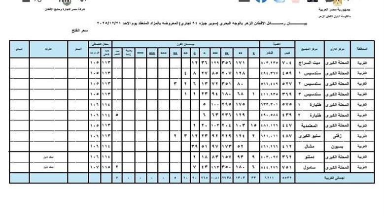 المنوفية