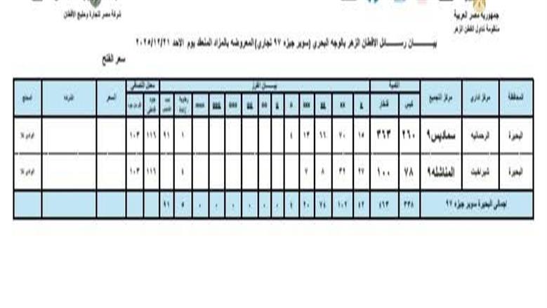 المنوفية