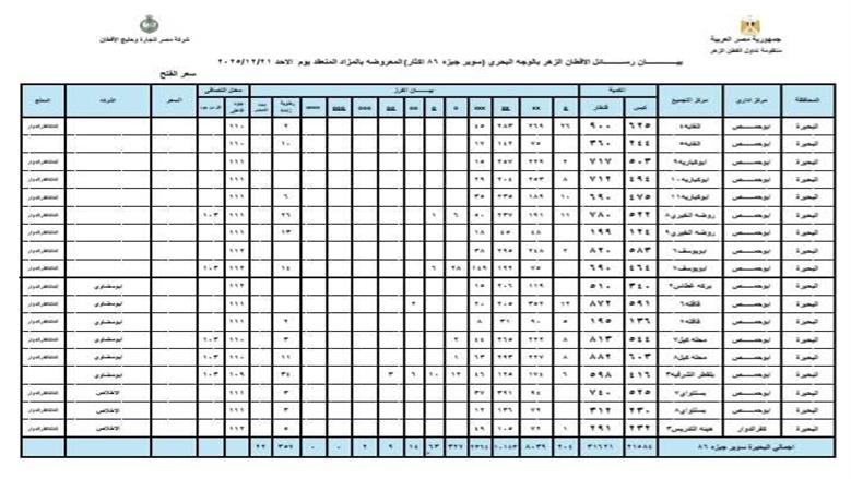 المنوفية
