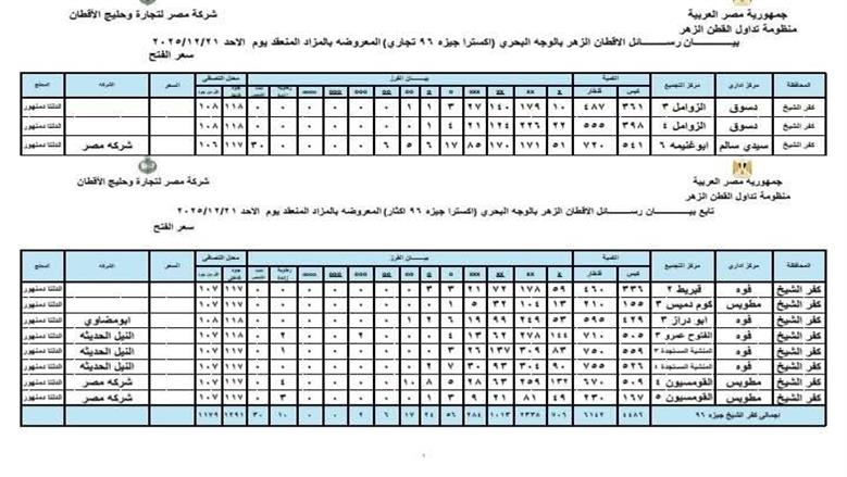 المنوفية