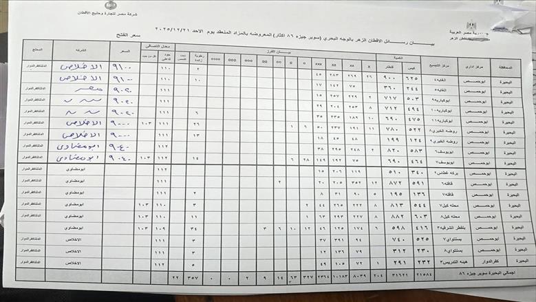 المنوفية