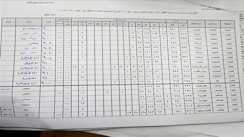 المنوفية