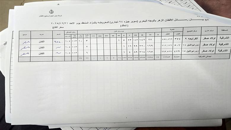 المنوفية