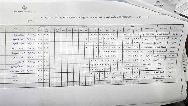 المنوفية
