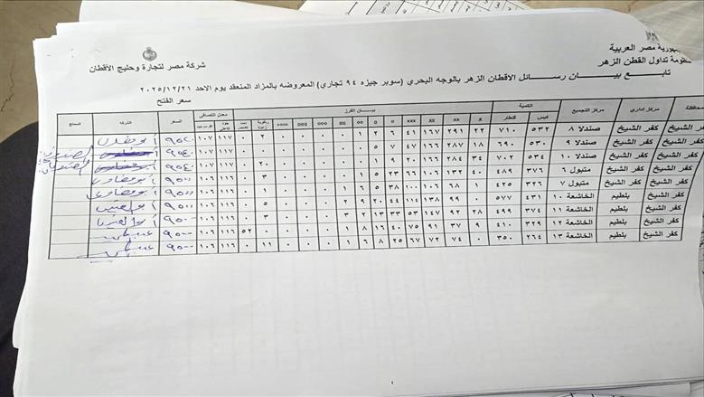 المنوفية