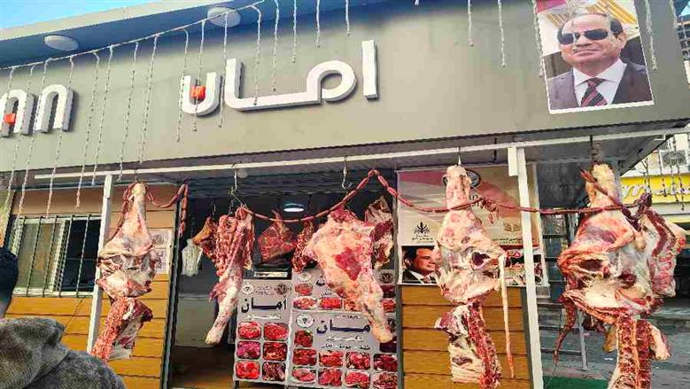 المنوفية