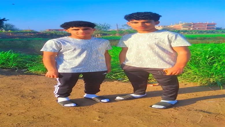 المنوفية