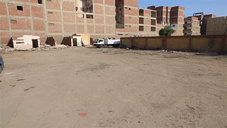 المنوفية