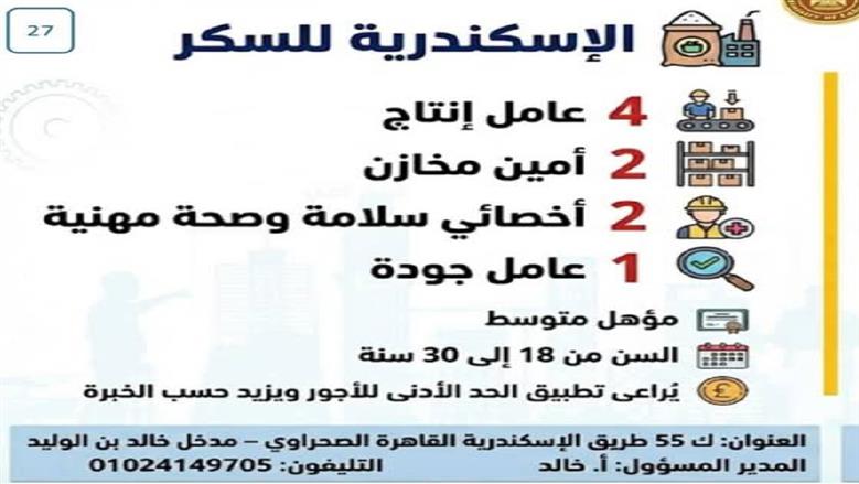 وظائف الإسكندرية