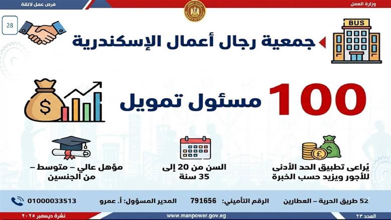 وظائف الإسكندرية