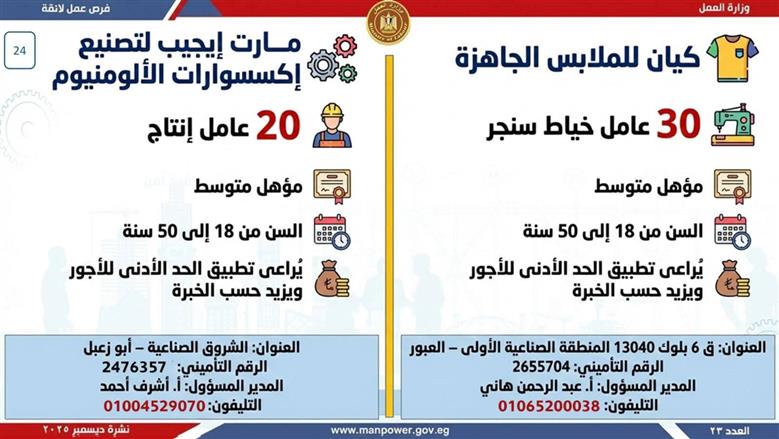 وظائف القليوبية 