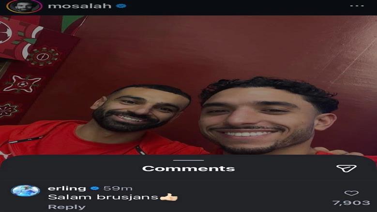 هالاند