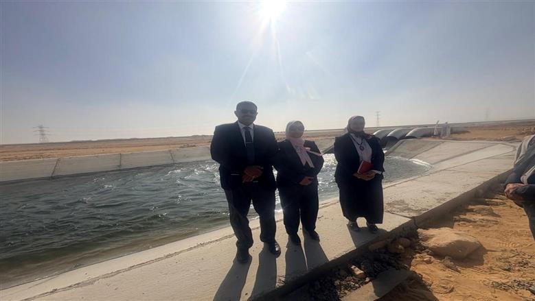الكهرباء