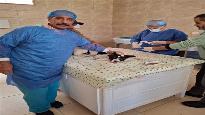 مبادرة بيطري الإسكندرية 