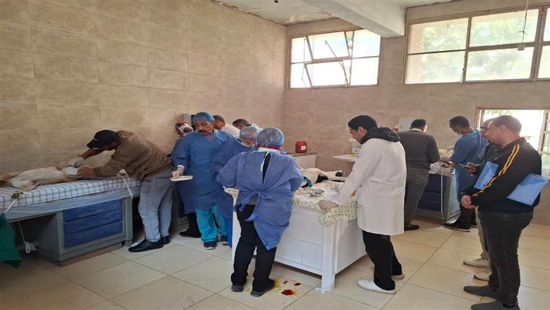 مبادرة بيطري الإسكندرية 