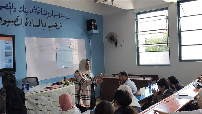 محافظة أسوان