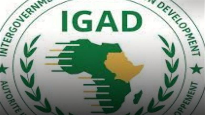 الهيئة الحكومية للتنمية في شرق أفريقيا: ملتزمون بوحدة وسيادة الصومال