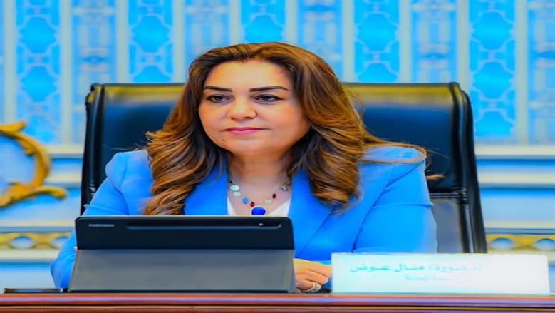 «التنمية المحلية»: أصدرنا 208 آلاف رخصة بناء في قرى ونجوع مصر