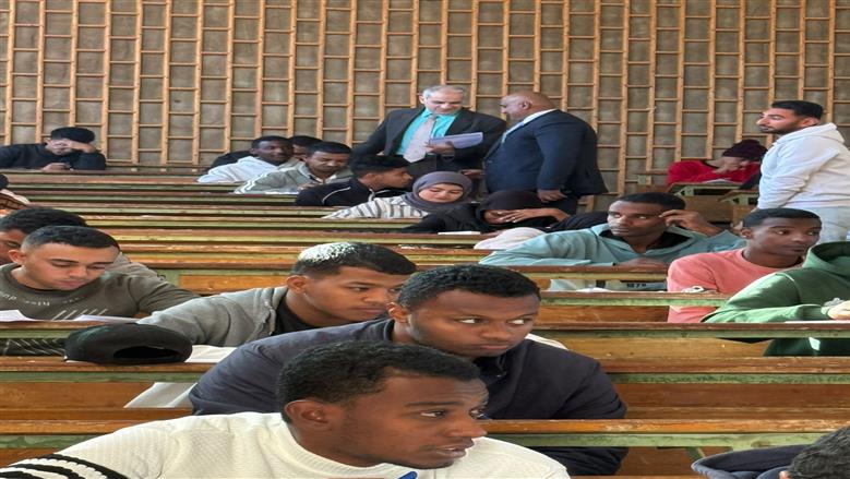 جامعة أسوان 