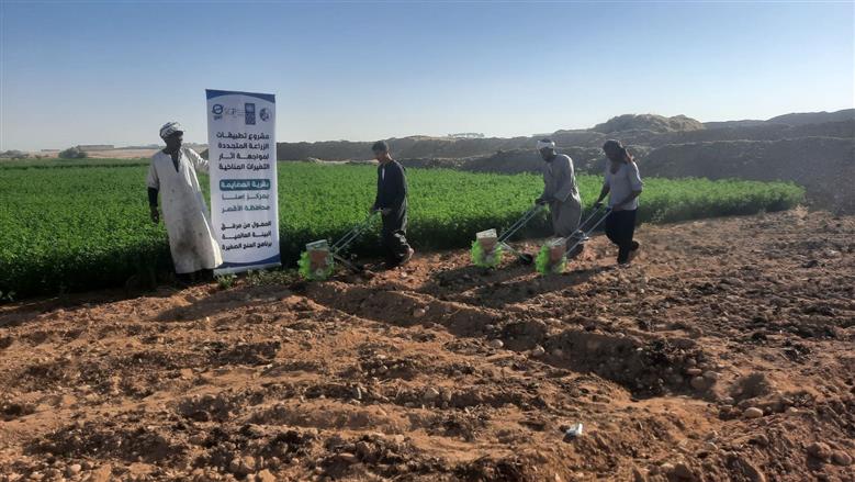 الزراعة المستدامة تغير شكل الحياة في قرى مصر