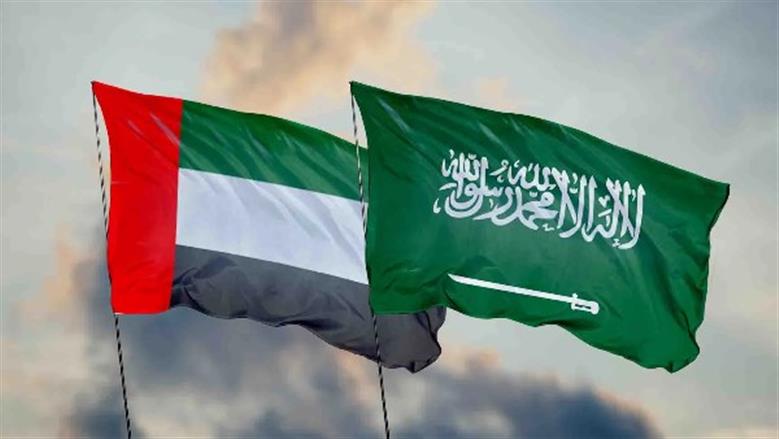 السعودية والإمارات تعربان عن أسفهما حول تطور الأوضاع في اليمن