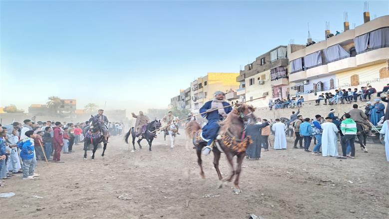 شباب الشيخ موسى يختتمون فعاليات مرماح الخيول بالأقصر وسط حضور جماهيري كبير