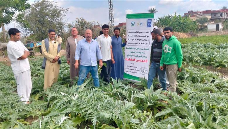 نبات الخرشوف في البحيرة