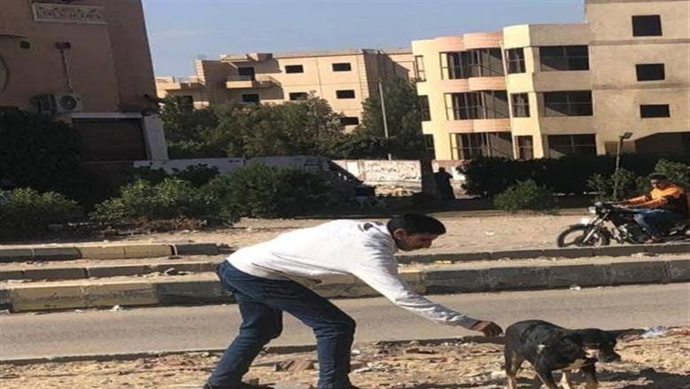 حملة تطعيم الكلاب الحرة بالعبور