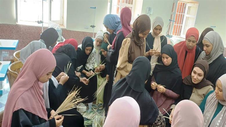 محافظة أسوان